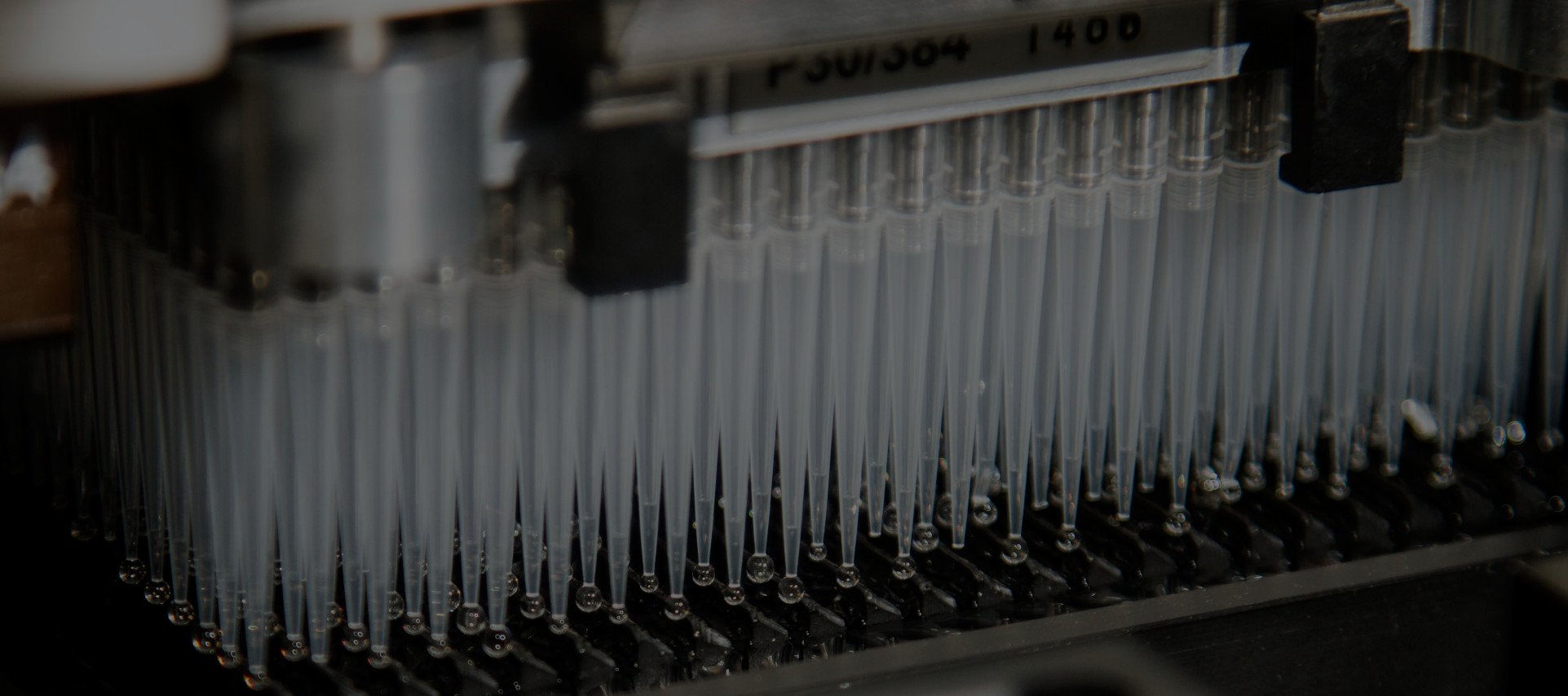 International Air freight